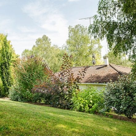 haie vive pluriespèces à Nancy, avec cornouiller viorne et aubépine
