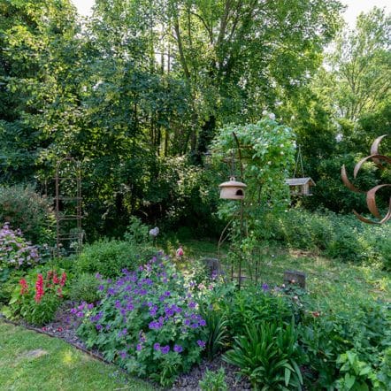 plantation automne arbustes caducs jardin Nancy Lorraine Pauchard paysagiste
