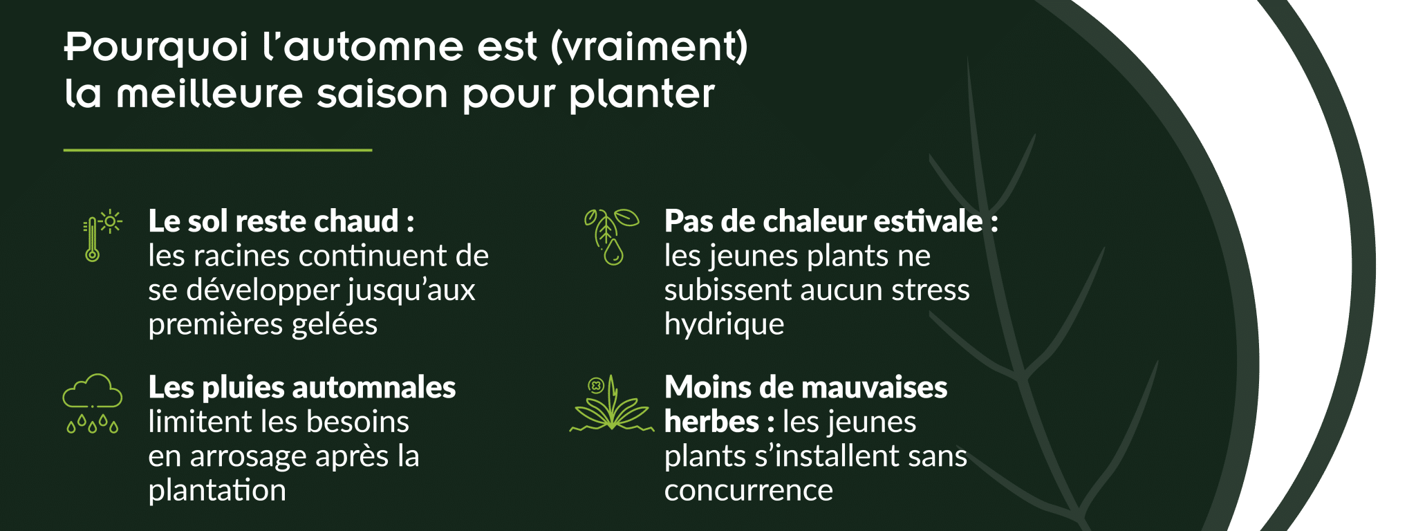 avantages planter en automne enracinement végétaux
