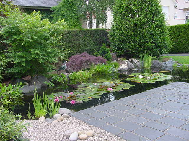 étang jardin berges enrochements ponton bois cabanon jardin privé
