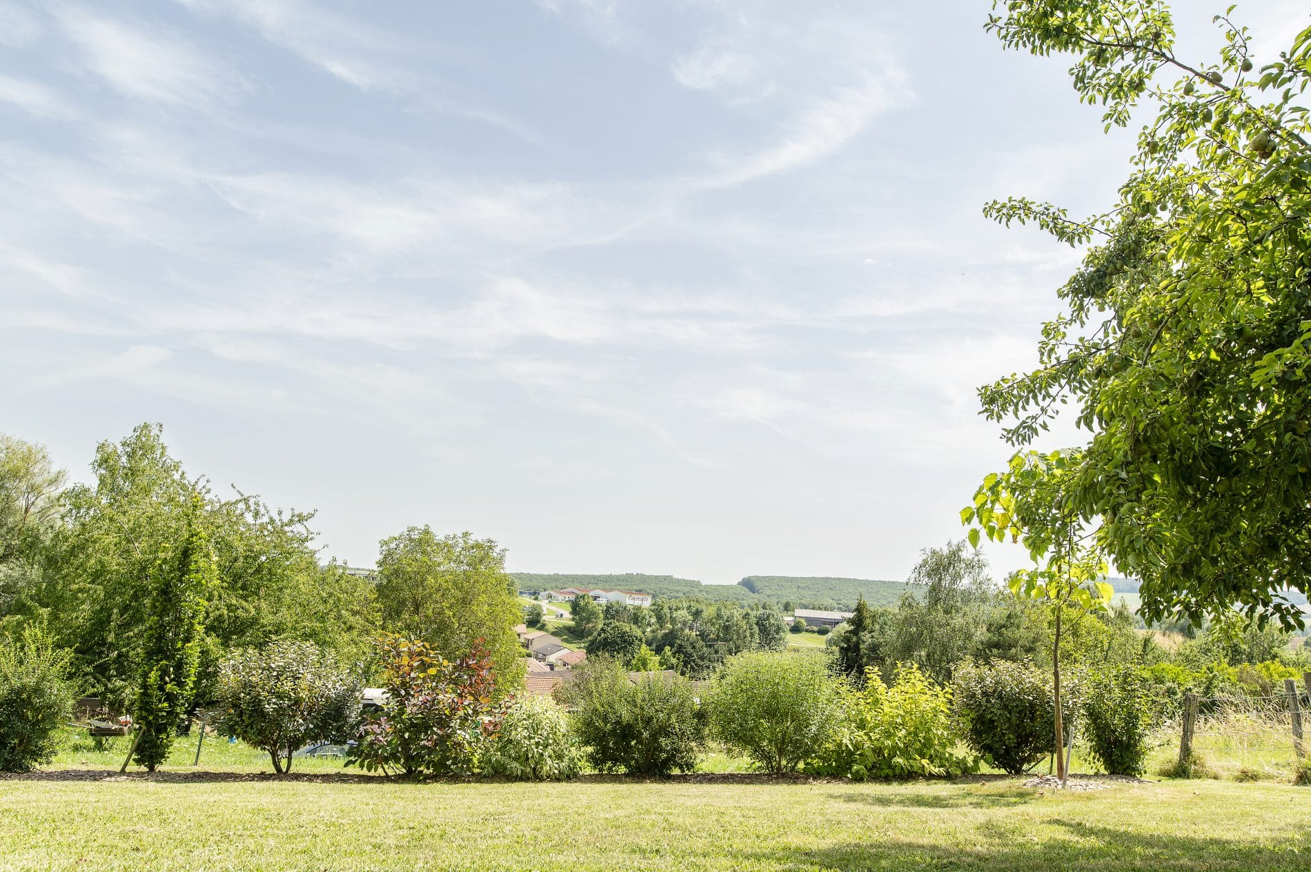 plantation d’une haie vive en quinconce en Meurthe-et-Moselle