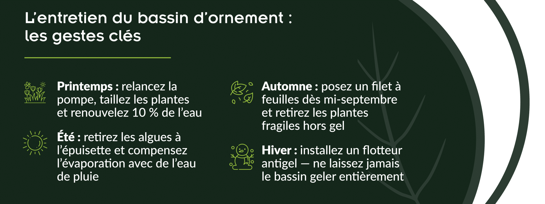 gestes clés pour entretenir son bassin ornemental selon les saisons