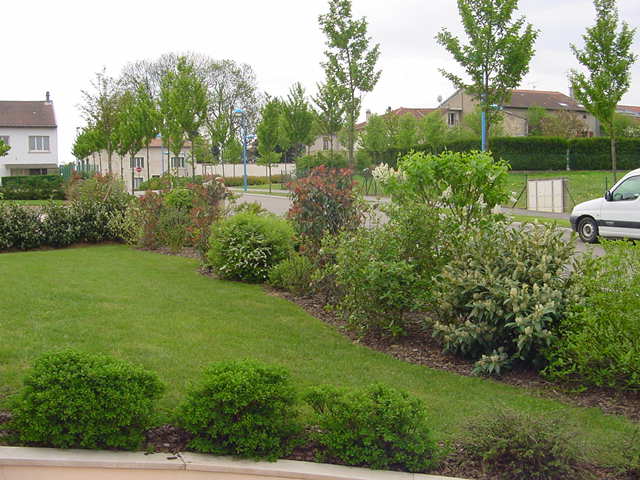 haie vive fleurie servant de brise-vue dans un jardin naturel dans les Vosges