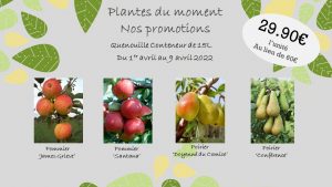 promotions pépinière arbres fruitiers
