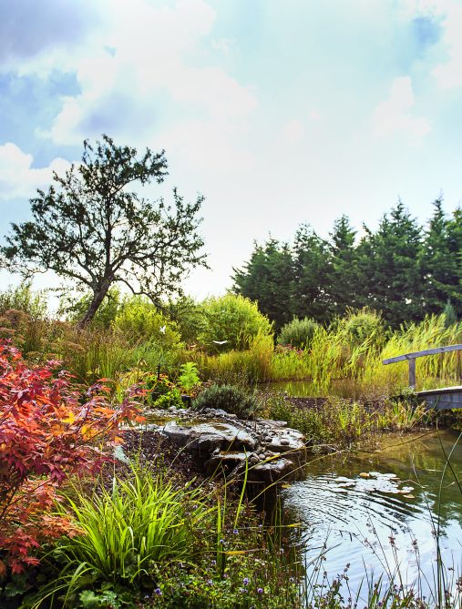 Bassins de jardin et fontaines