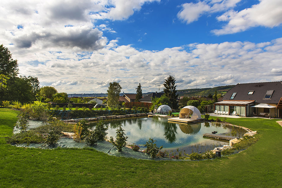 Photo 1 – un bassin extérieur avec plantations et terrasse