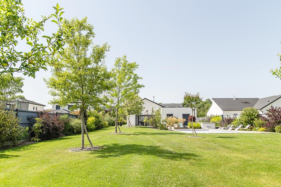 Photo 1 – un gazon tondu dans un jardin