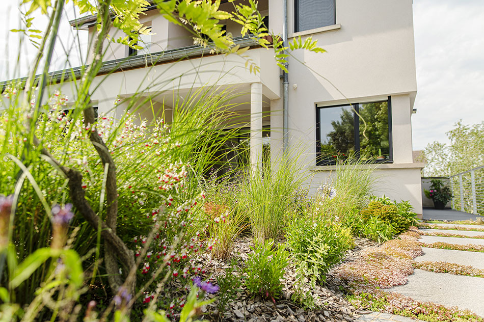 Photo 1 – des végétaux dans un jardin écoresponsable