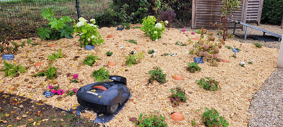 Photo 4 – des ollas d’irrigation dans un massif