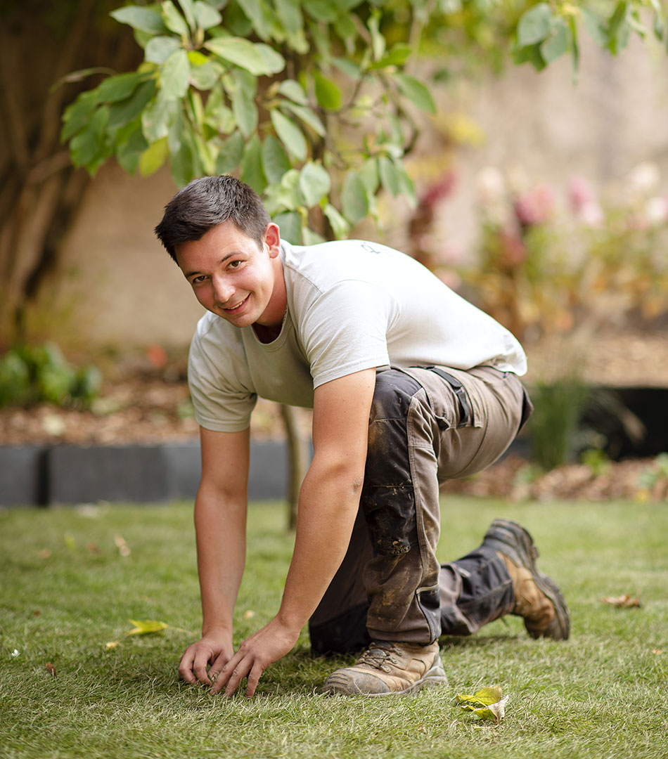Photo 2 – recrutement de jardiniers paysagistes à Nancy